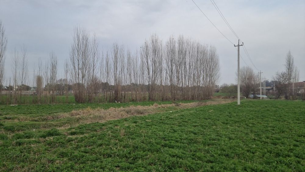 Тераклар срочно сотилади