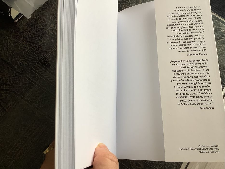 Pogromul de la Iasi, Radu Ioanid