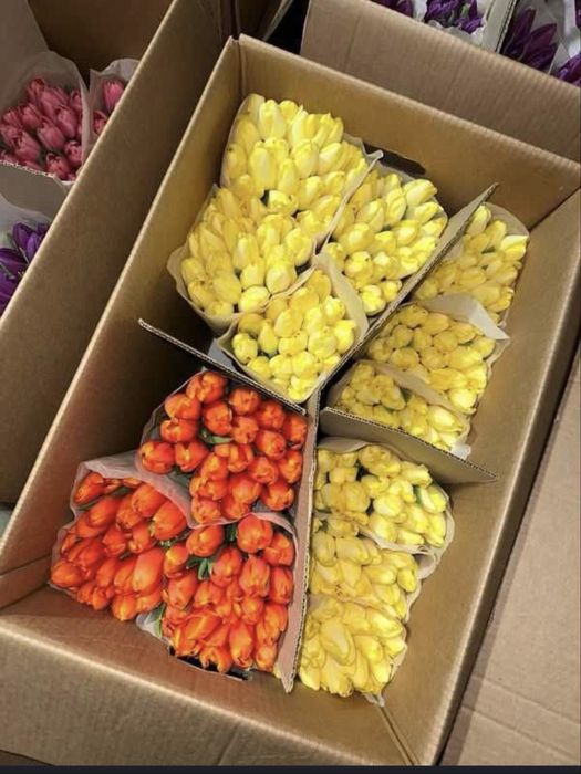 Тюльпаны с доставкой