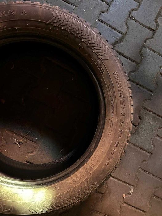 Автошины шипованные