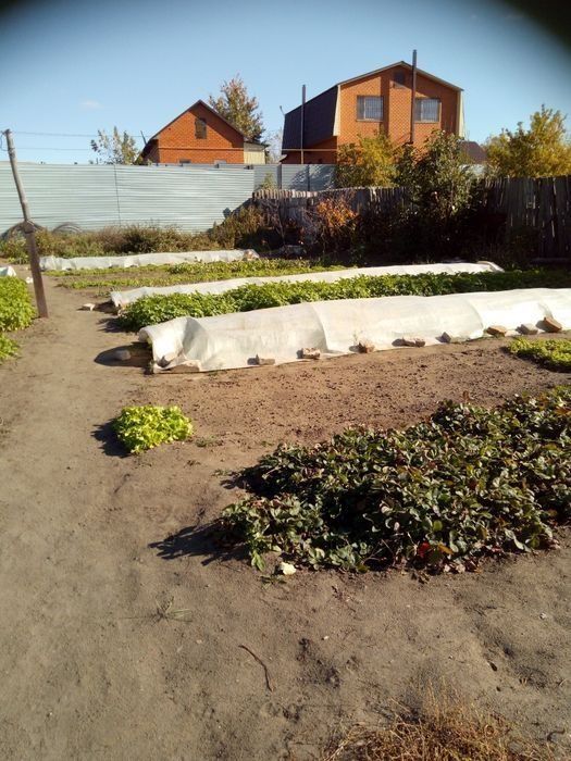 Дом 5 ком. 82 м2.