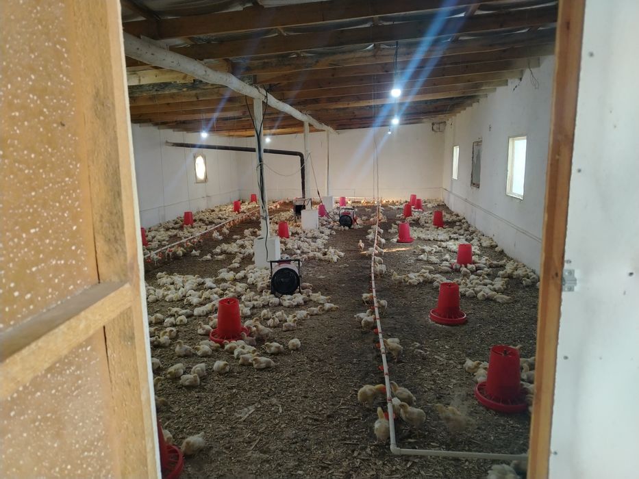 Таййор база безнеслари билан