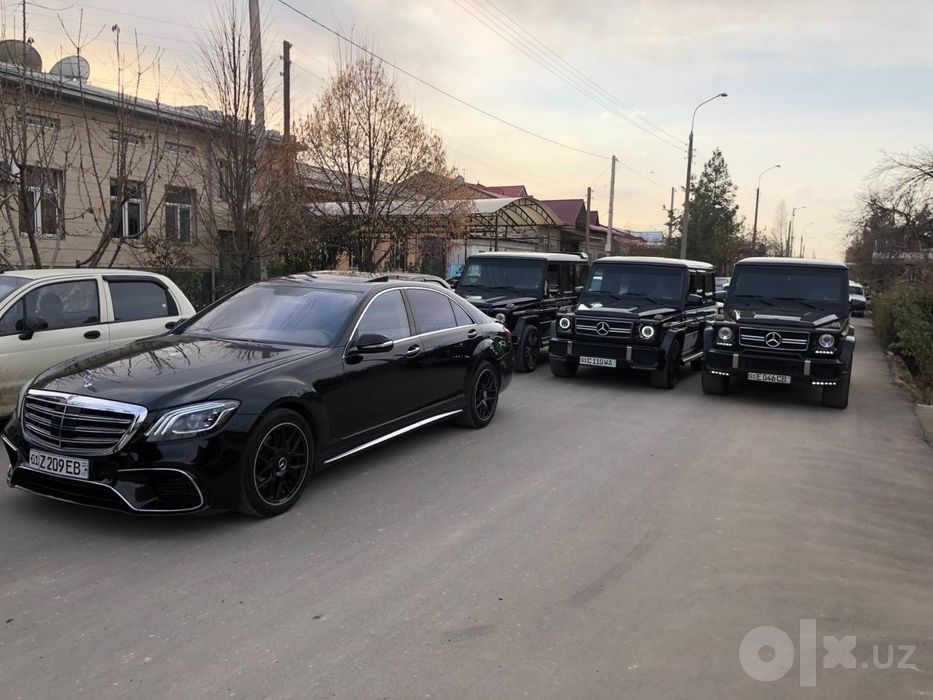 Туй ва маросимлар ва раддом учун кортеж