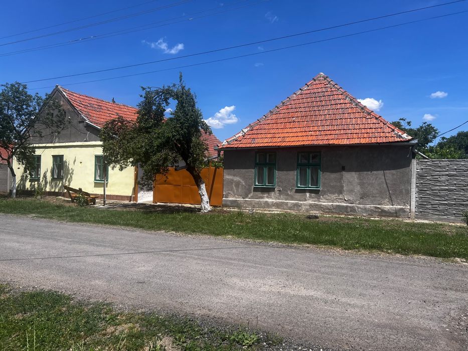 Casă de vânzare cu 2 parcele – Jamu Mare (70 km de Timisoara)