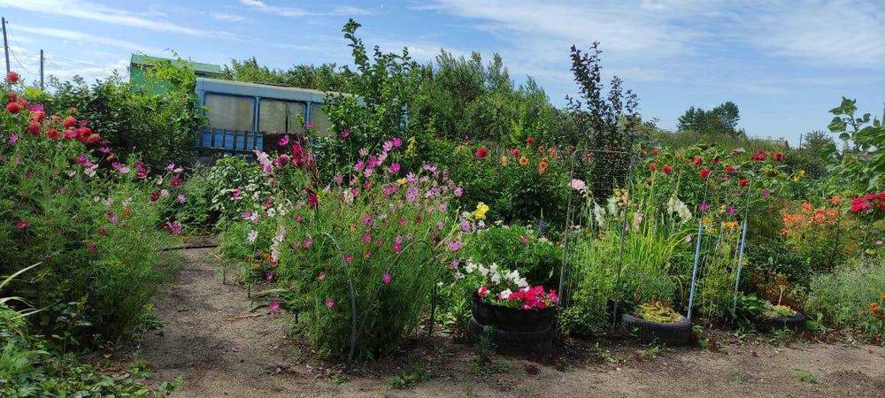 Дача 10 соток Общество «Ракета»