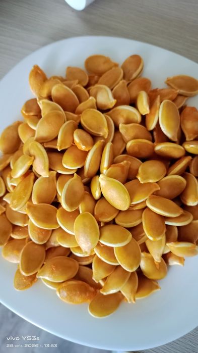 Продам тыквы 500/шт