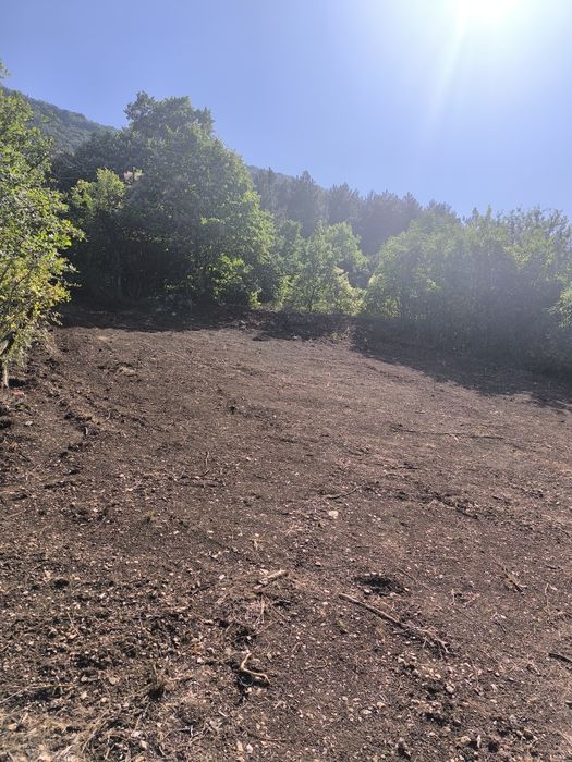 Продава се Парцел в Асеновград - 2500 кв.м за 25 €/кв.м - Снимка #1