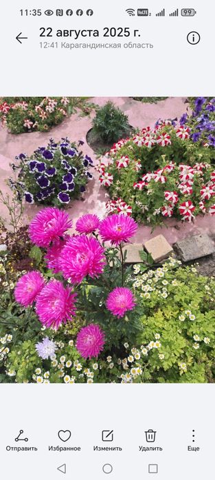 Продаётся дача  ПК "Черемушки"