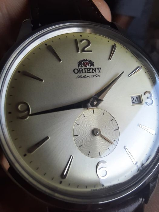 Orient Bambino Automatic