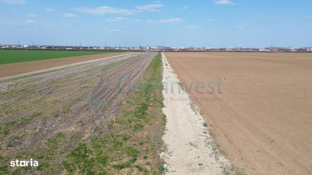 Teren intravilan de vanzare, Santandrei, 500 mp, Bihor,Gaminvest,V4645