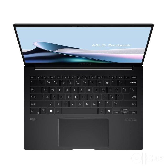 Asus Zenbook UM3405GA-ZB_70 (14" WUXGA OLED 500nit Touchscreen)