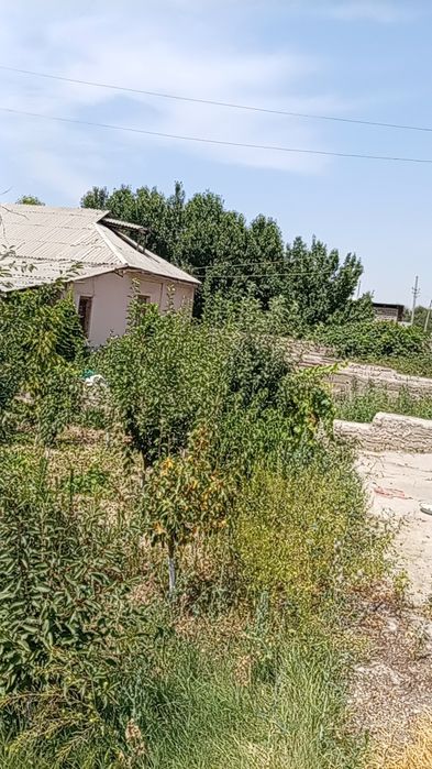 Срочна уй сотилади сув бойида