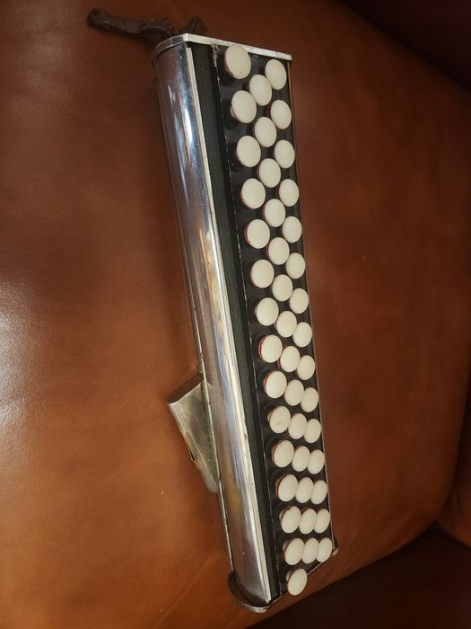 Instrument rar - Accordina