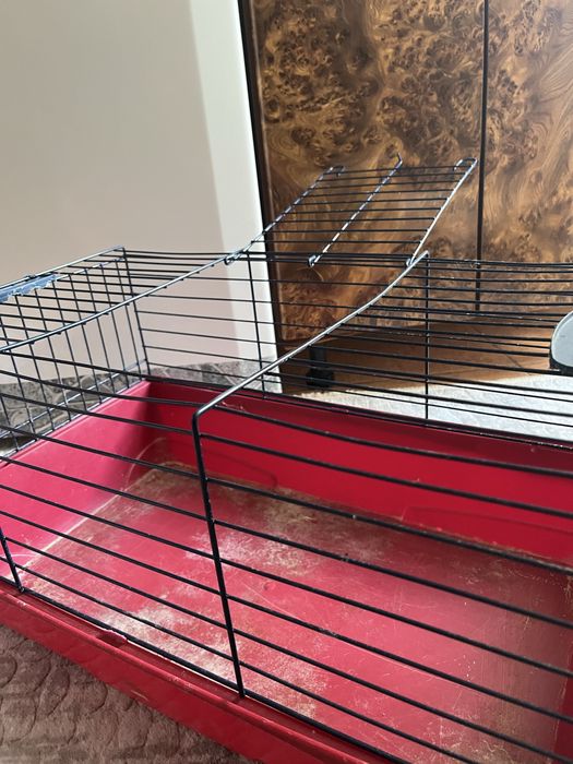 Vand cusca rozatoare (Negociabil)