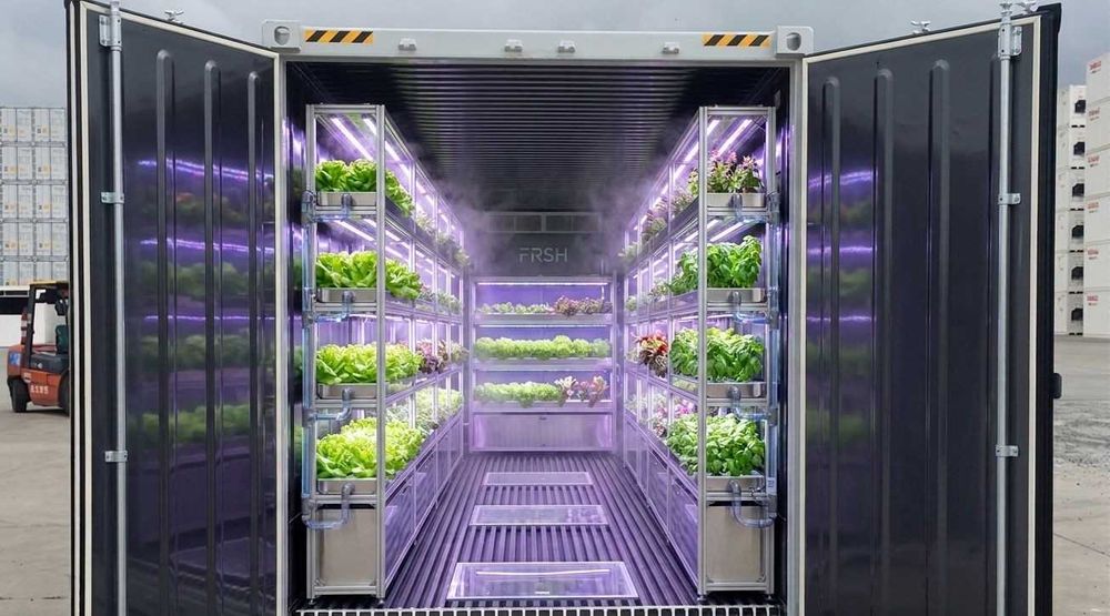 STOC DISPONIBIL Container frigorific nou, reconditionat de 6m si 12m