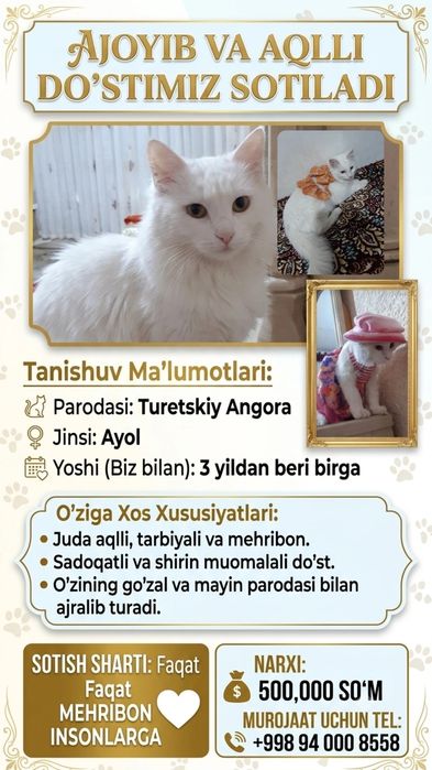 Zotdor mushuk sotiladi