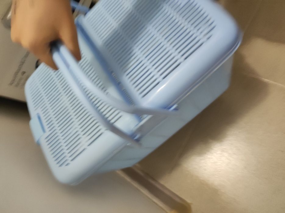 переноска для котят