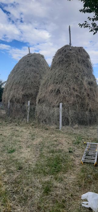 Vând două clăi de fân de anul acesta 2026