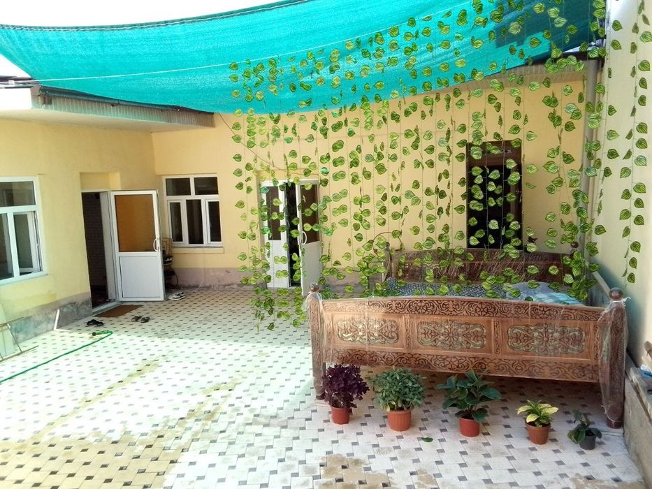 soʻri sotiladi stolli bn