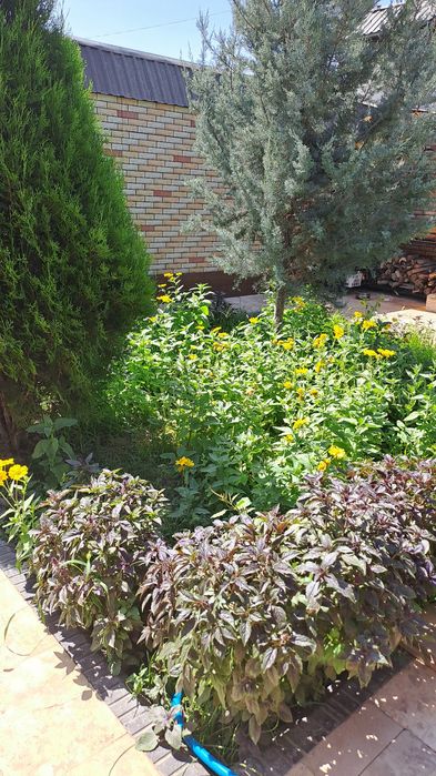 Коттедж в военном городке ,уютный,чистый,6 комнат