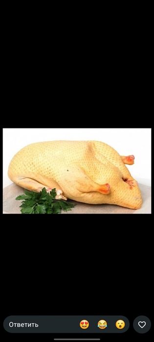 Продам домашних уток, молодые.очень вкусные