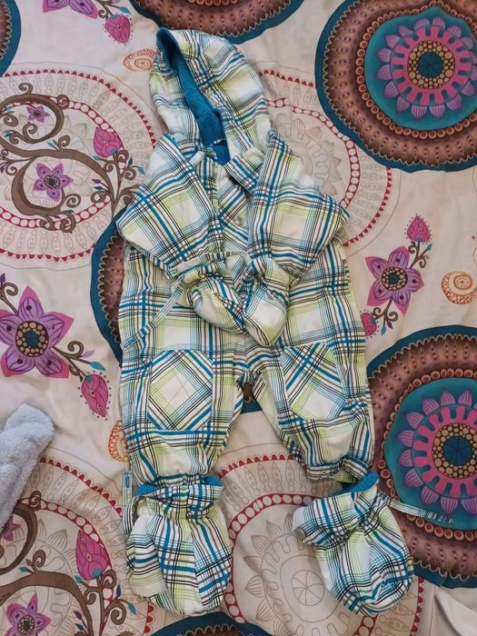 Бодита, якенца, космонавт