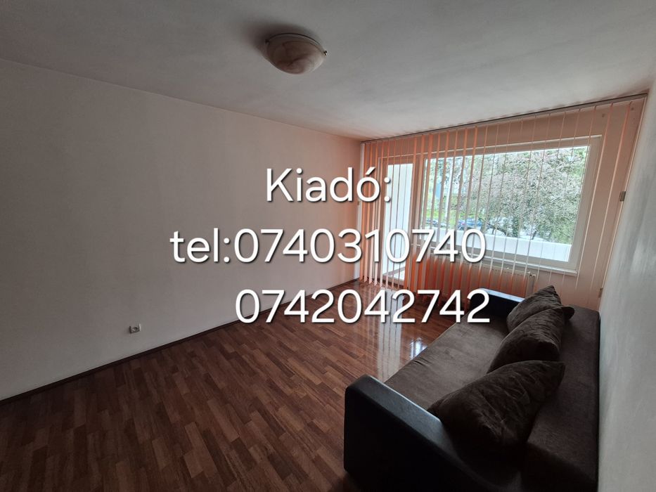 Chirie Aleea Carpati