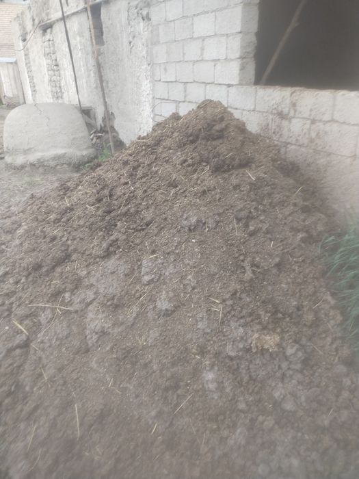 Toza nuri sotiladi