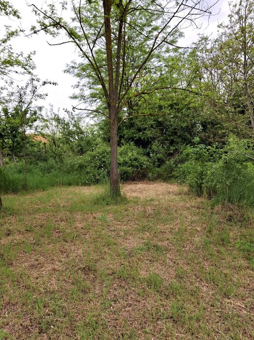 Продава се Парцел в Добрич, Център - 1150 кв.м за 61 €/кв.м - Снимка #5