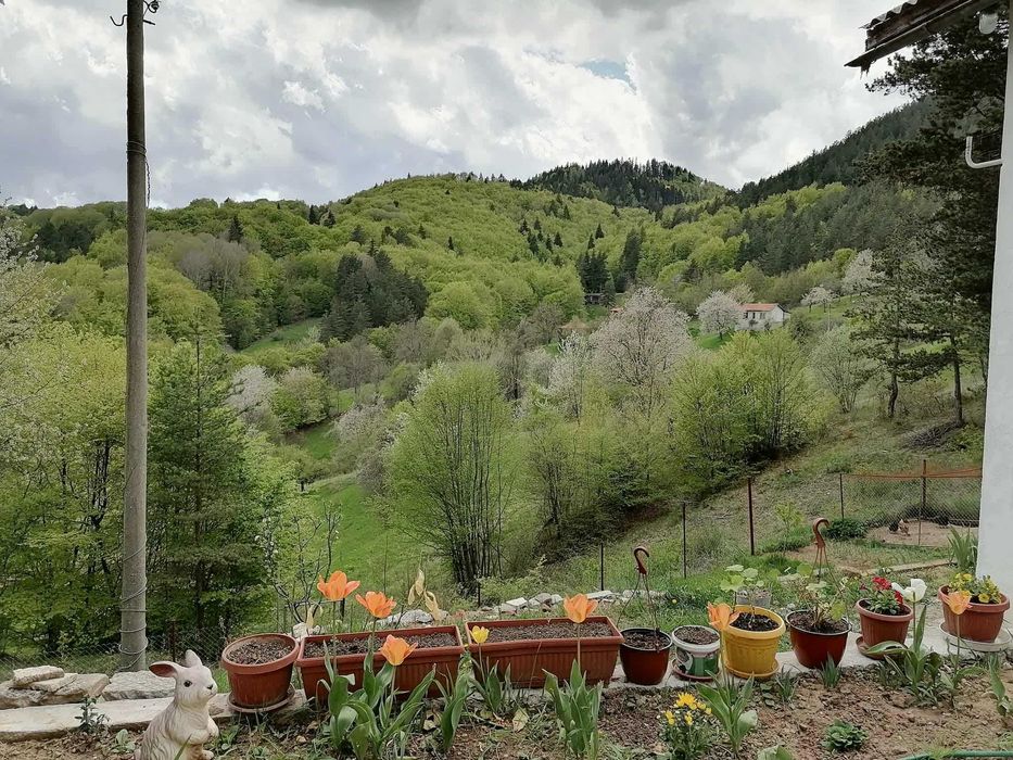 Уютна вила в сърцето на Родопите