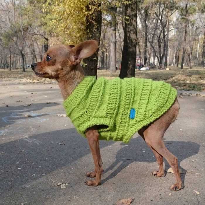 Свитерки для собак и кошек