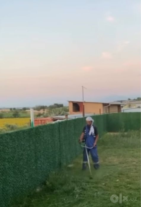 Daraxt kesish    Gazon òrish Òt òrish hizmatlari