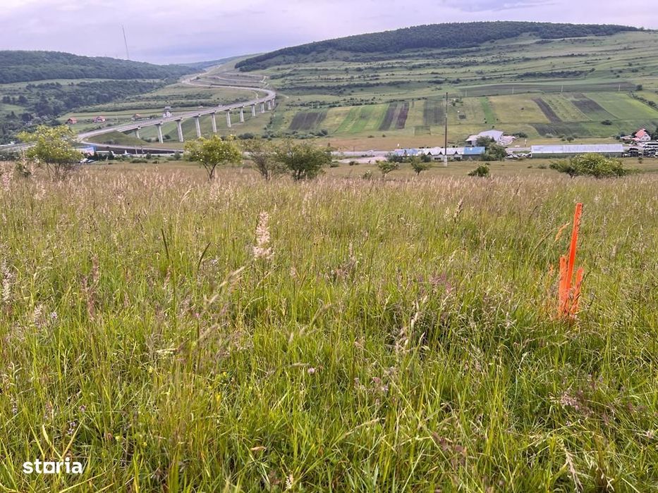 Teren de vanzare in Valcele