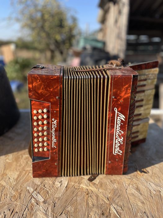 Acordeon vintige