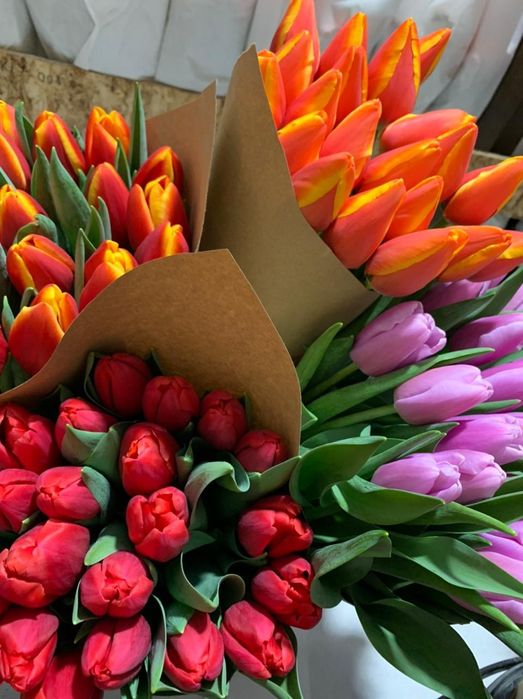 Продам тюльпаны, предзаказ на 8 марта