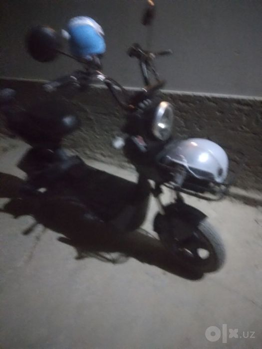 Sukiter arzonga srocna sotiladi
