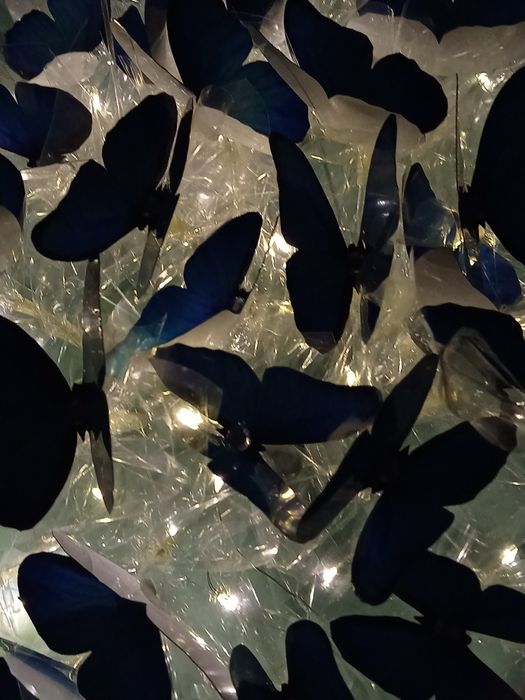 Букет с бабочками