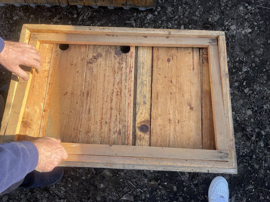 Stupi albini foarte bune lemn masiv