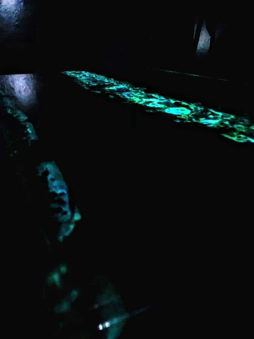 Разкошна маса