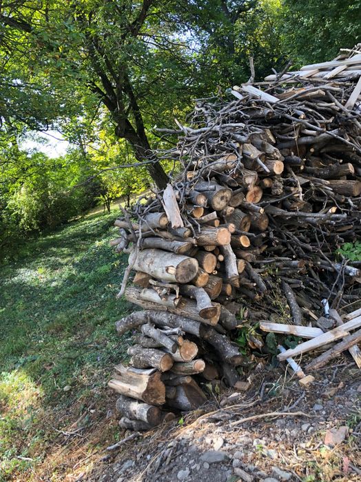 Продавам-подарявам Дърва за огрев и разрешително за превозване