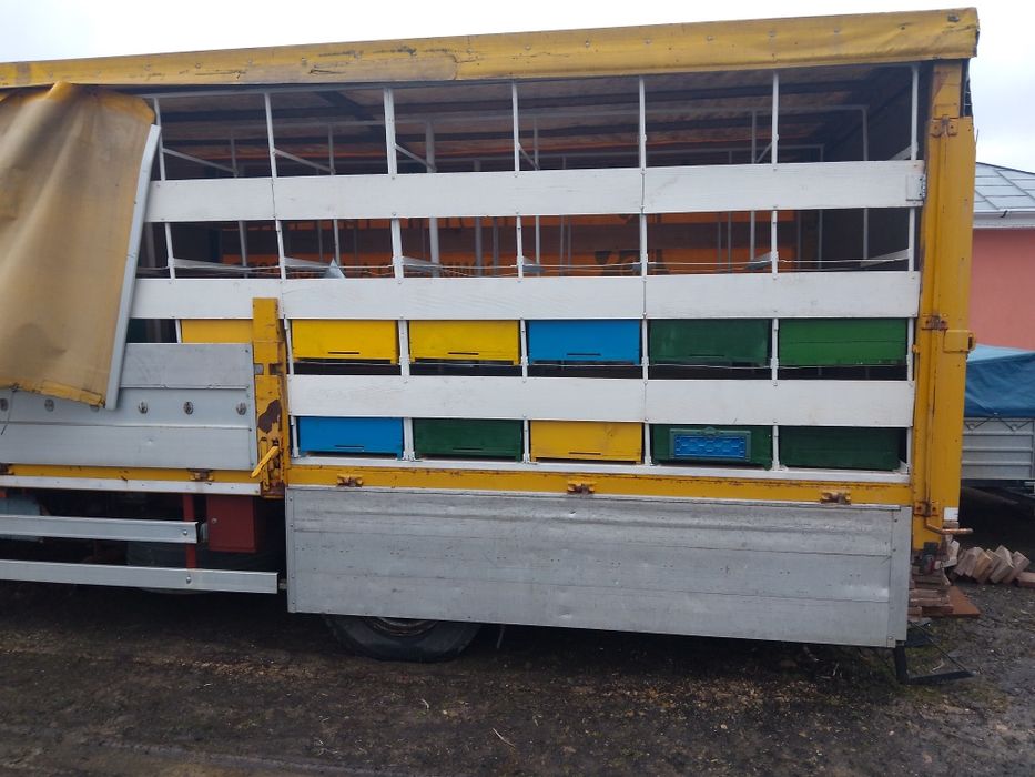 Camion apicol omologat