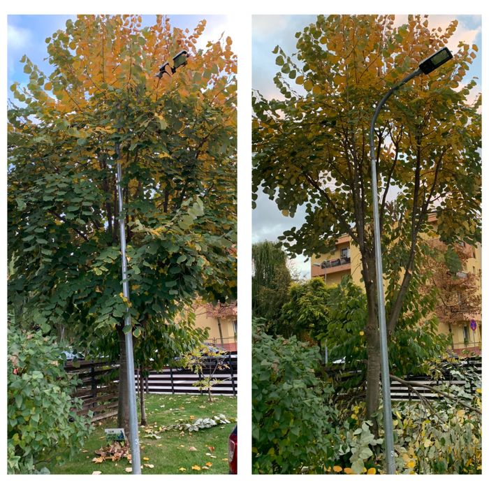 Intretinere si amenajare gradini, spatii verzi si sisteme de irigatii