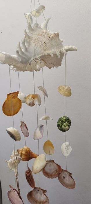 "Carusel" de scoici naturale  super frumoase