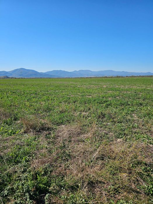 Земеделска Земя Шарапчиолу