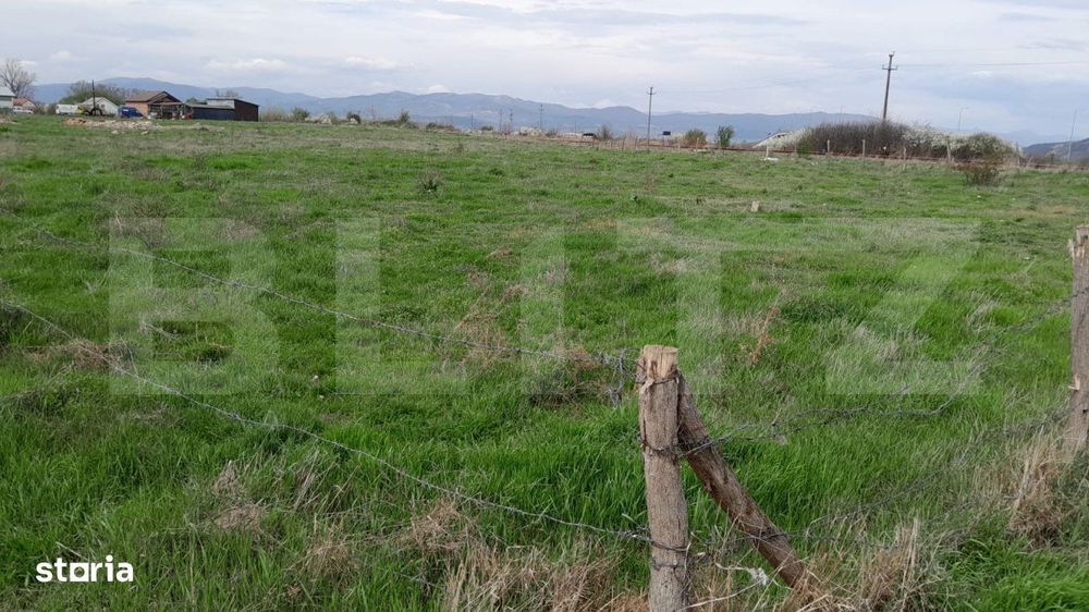 Teren intravilan,5500mp zona Sebes