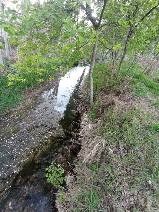 Срочно yer sotiladi  dachabop.