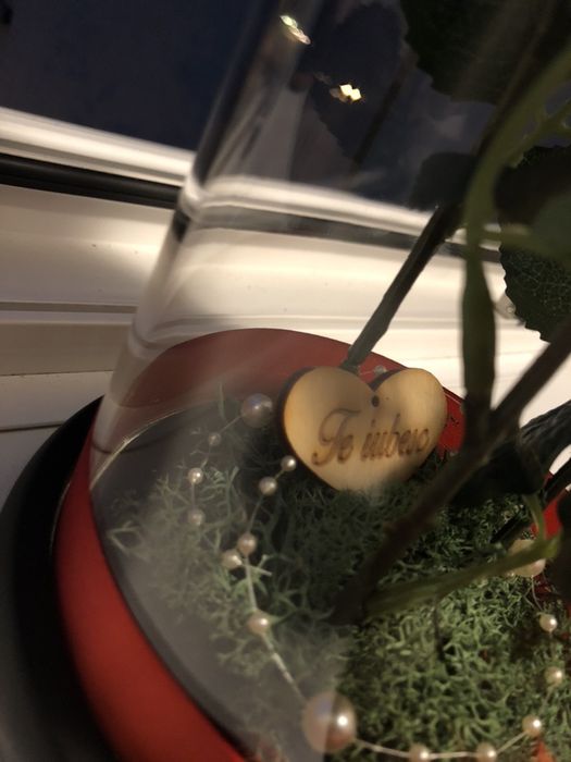 Trandafiri in cupola