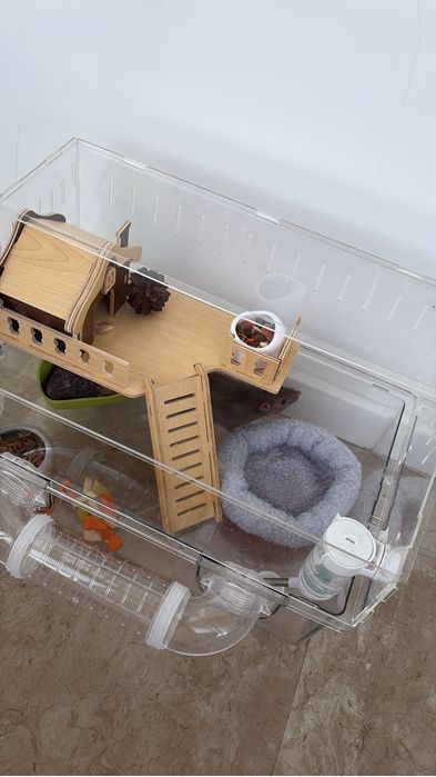 Крысы с клеткой