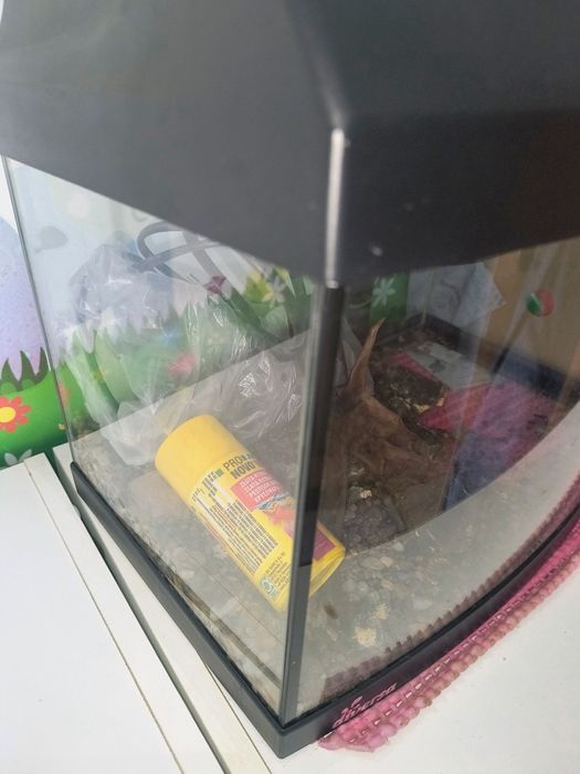 Acvariu Diversa 54 litri