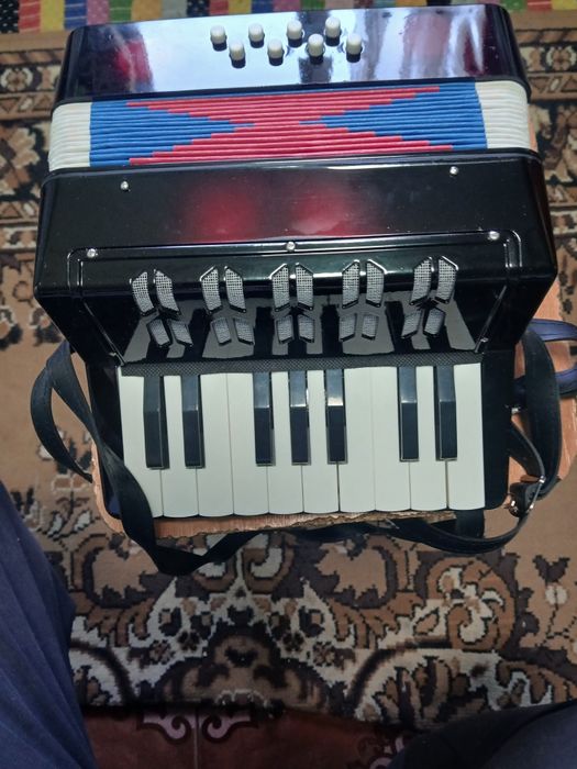 Acordeon pentru copii